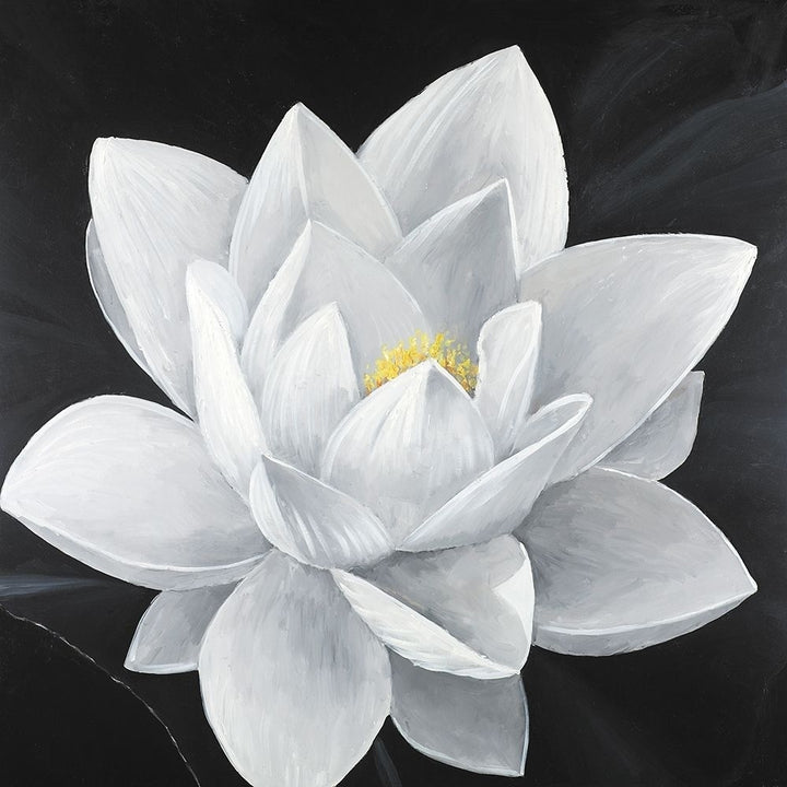 Overhead View Of A Lotus Flower Poster Print by Atelier B Art Studio Image 2