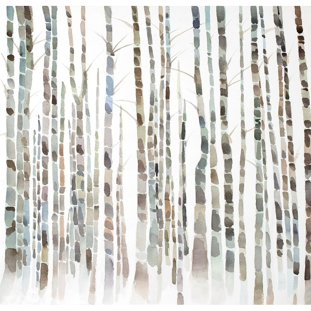 BIRCH FOREST Poster Print by Atelier B Art Studio Image 1