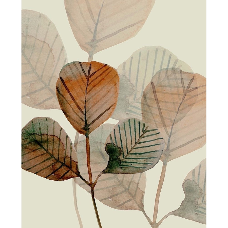 Brown Leaves 1 Poster Print by Boho Hue Studio Image 1