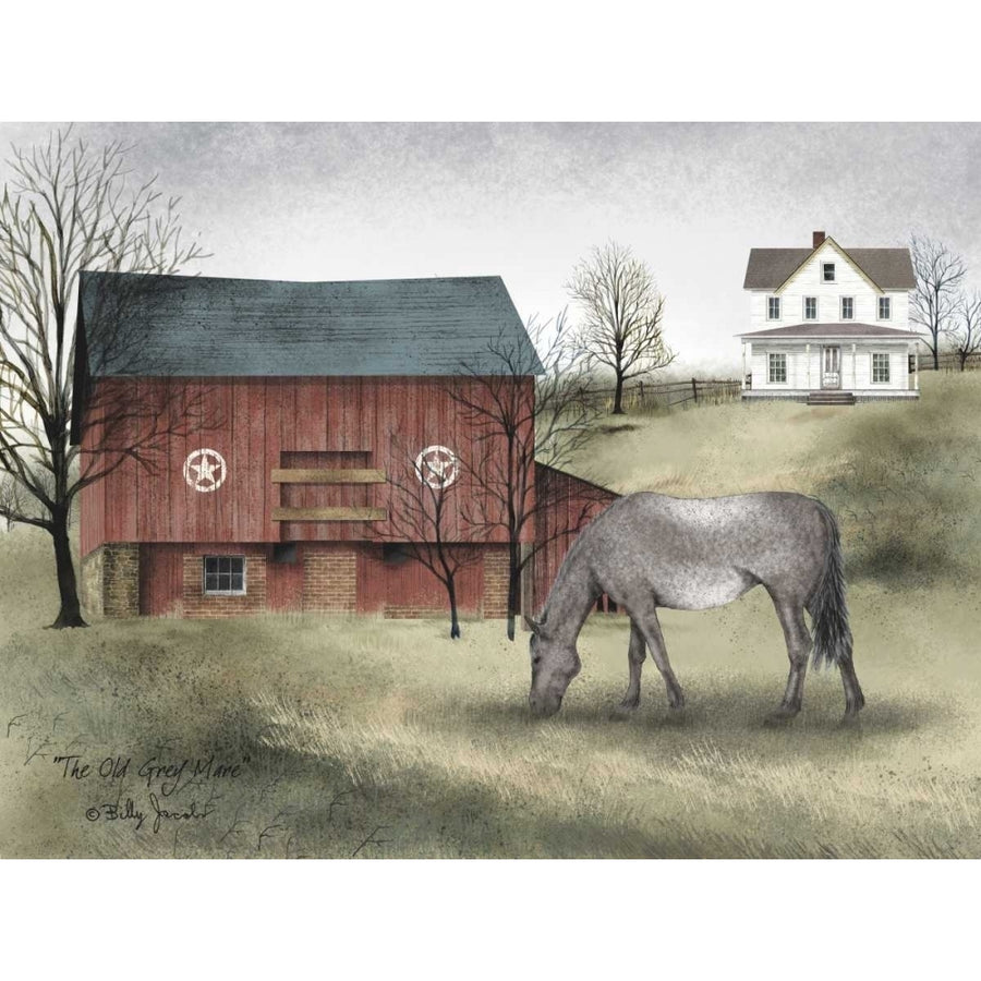 Old Grey Mare Poster Print by Billy Jacobs Image 1