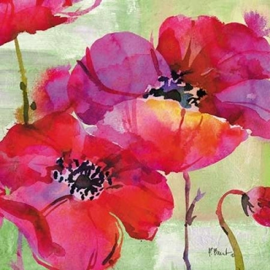 Amalfi Poppies Poster Print by Paul Brent Image 2