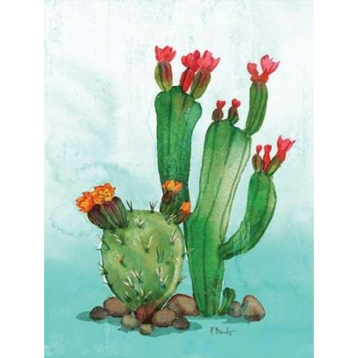 Cactus II Poster Print by Paul Brent Image 1