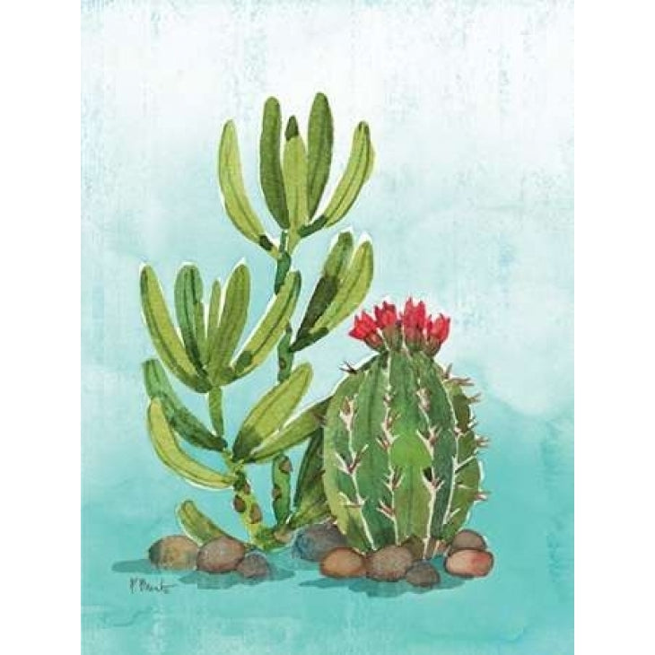 Cactus III Poster Print by Paul Brent Image 2