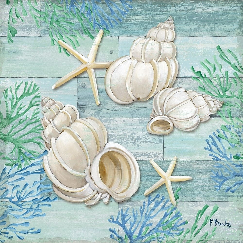 Clearwater Shells III Poster Print by Paul Brent Image 1