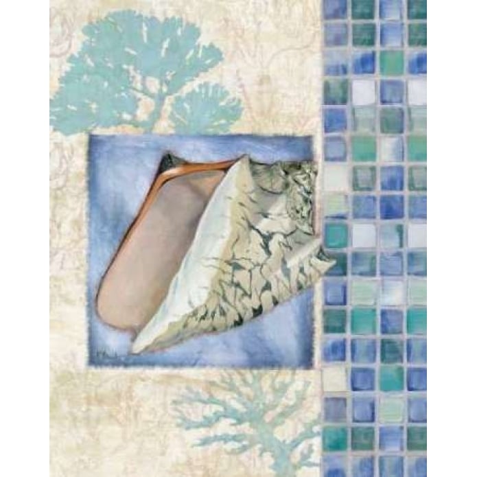 Mosaic Shell Collage III Poster Print by Paul Brent Image 2