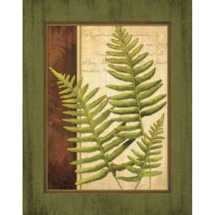 Fern Grotto III Poster Print by Delphine Corbin Image 1