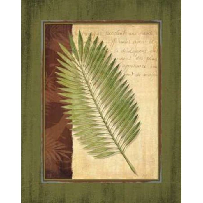 Palm Tropical III Poster Print by Delphine Corbin Image 2