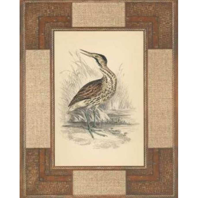 Marshland Bittern Poster Print by Alastair Reynolds Image 1