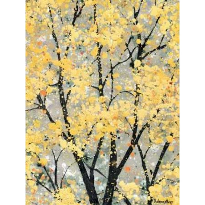 Early Spring I Poster Print by Helena Alves Image 1