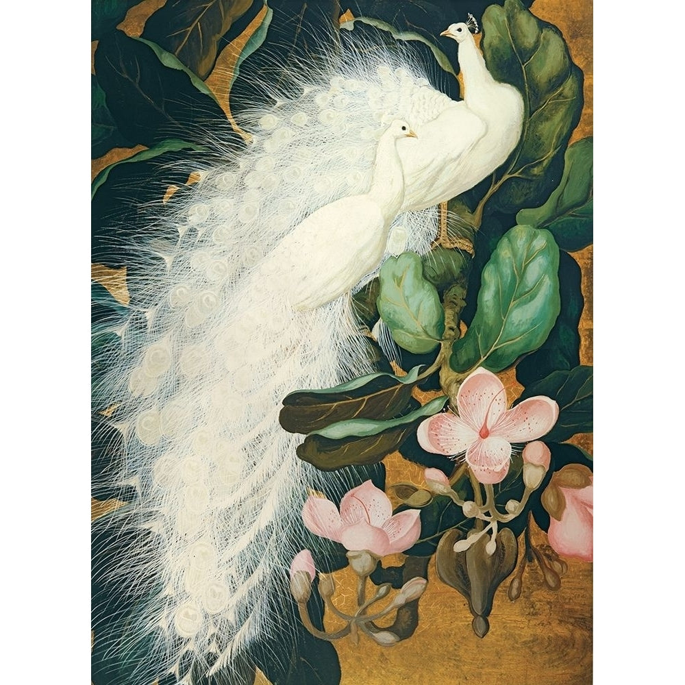 White Peacocks Poster Print by Jessie Botke Image 1