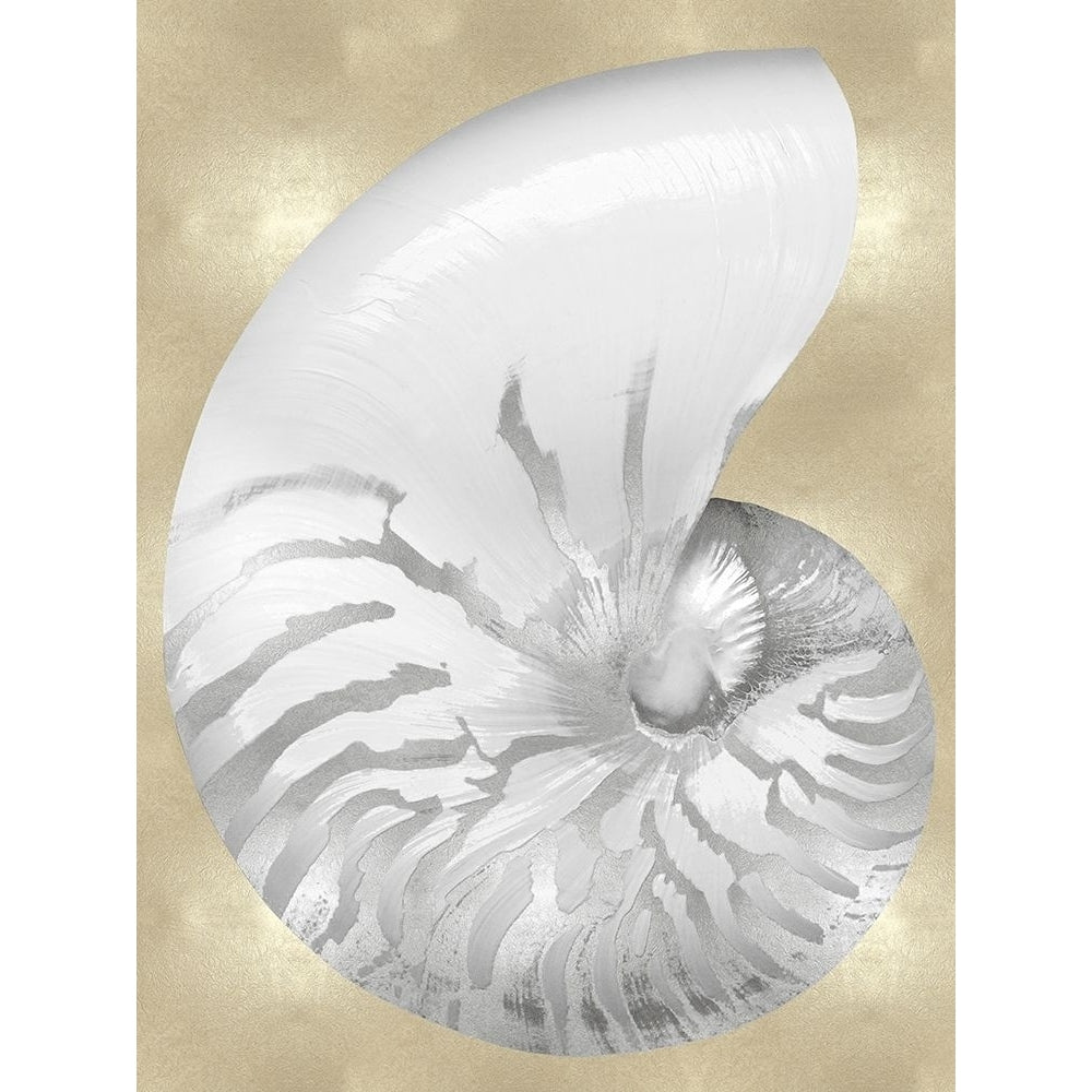 Silver Pearl Shell on Gold III Poster Print by Caroline Kelly CKL116547 Image 1