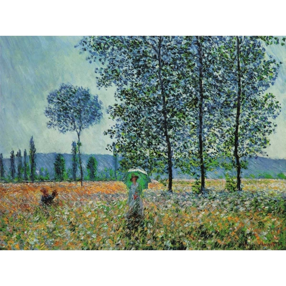 Felder im Fruhling Poster Print by Claude Monet CM2166 Image 1