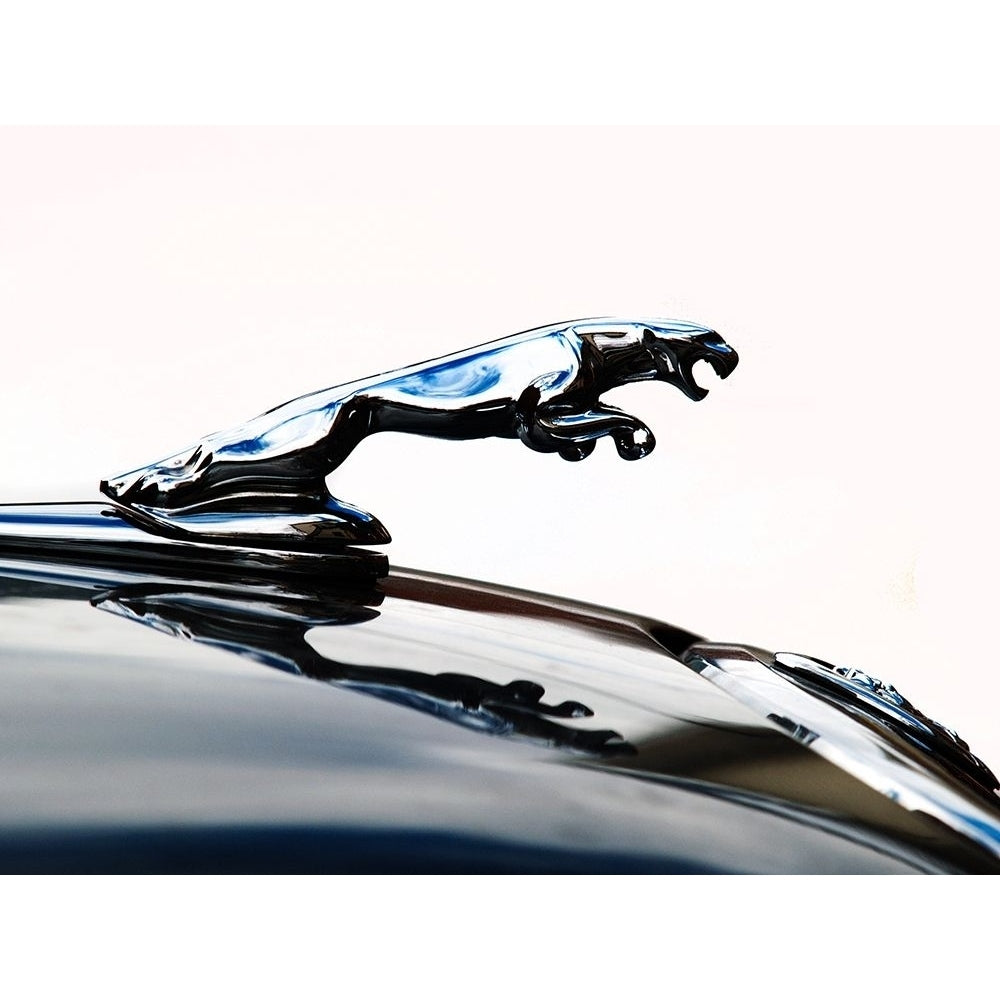 Jaguar hood ornament Poster Print by Clive Branson CV116945 Image 1