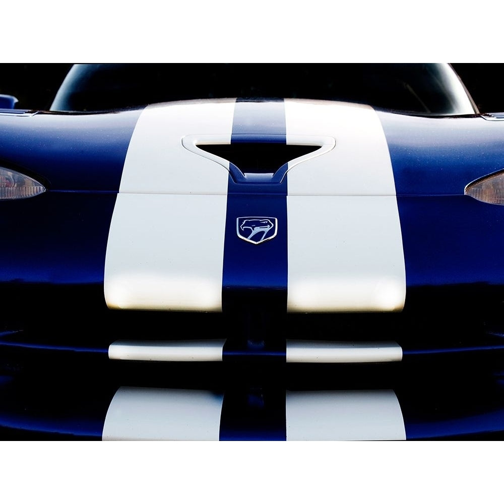 Dodge Viper 4 Poster Print by Clive Branson CV113792 Image 1