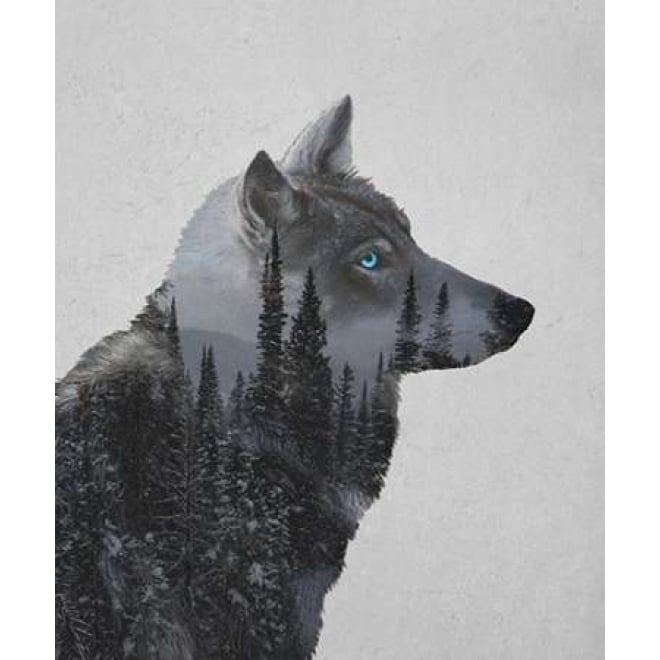 Winter Wolf Poster Print by Davies Babies Image 1