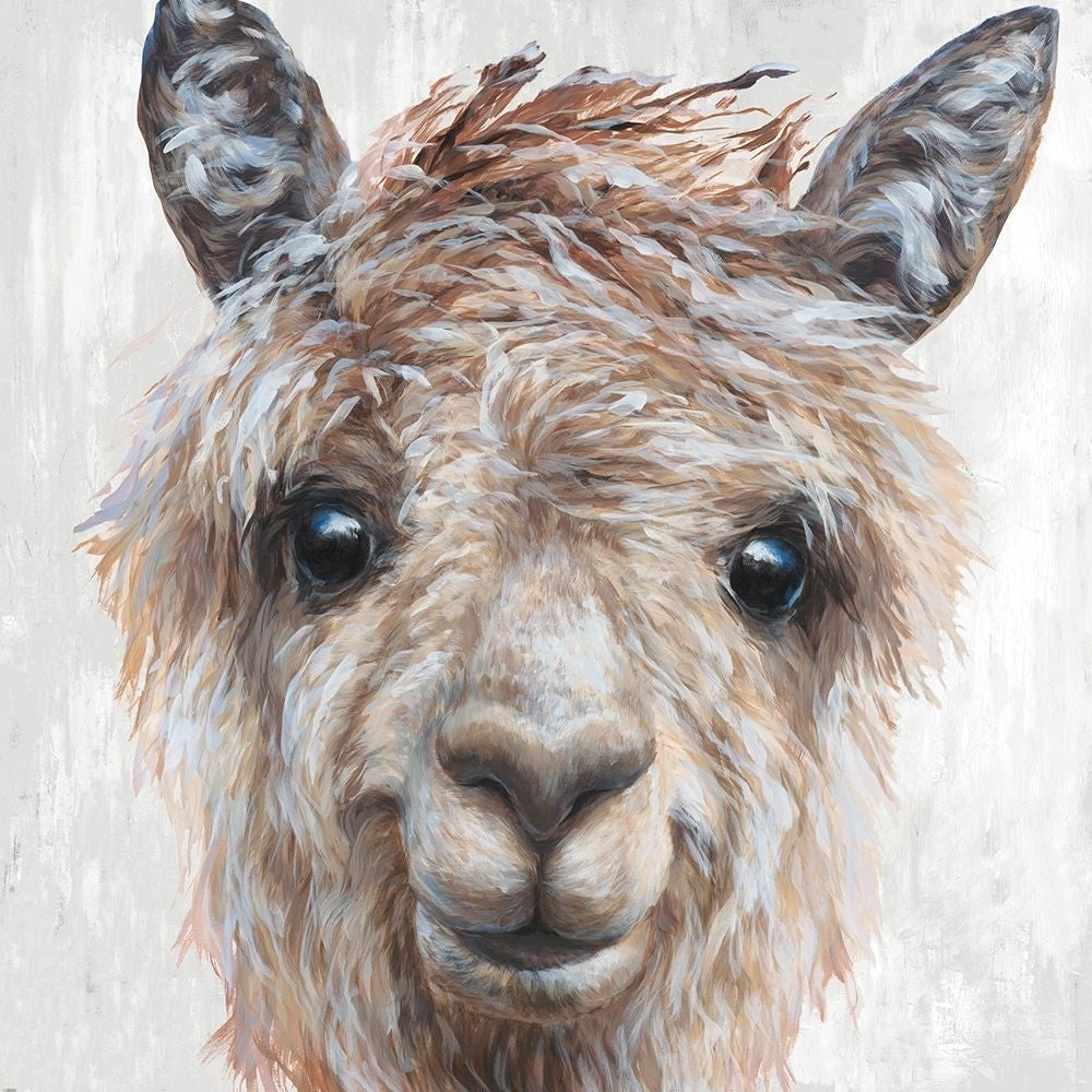 Alpaca II Poster Print by Dina Perejogina Image 1