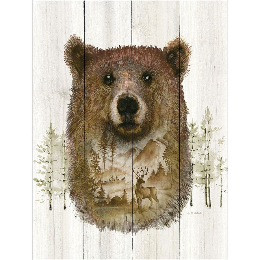 Bear Wilderness Portrait Poster Print by Ed Wargo Image 1