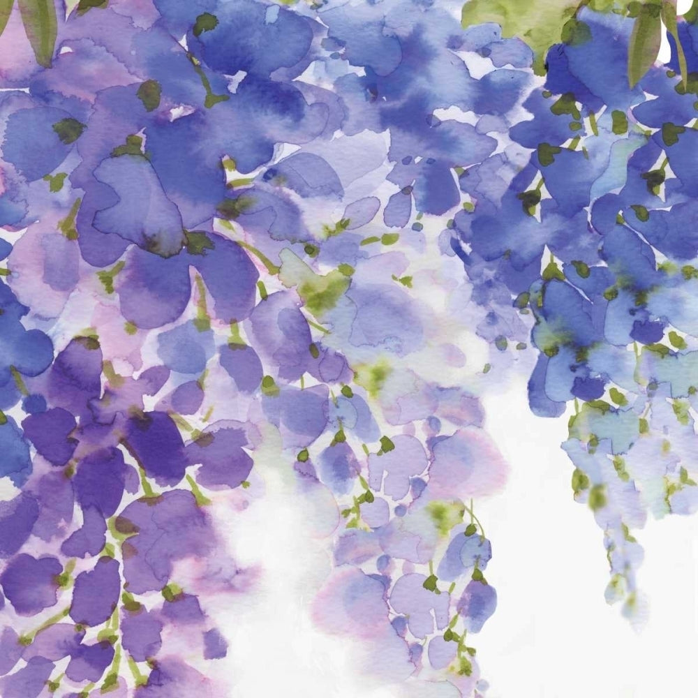 Wisteria II Poster Print by Eva Watts Image 1