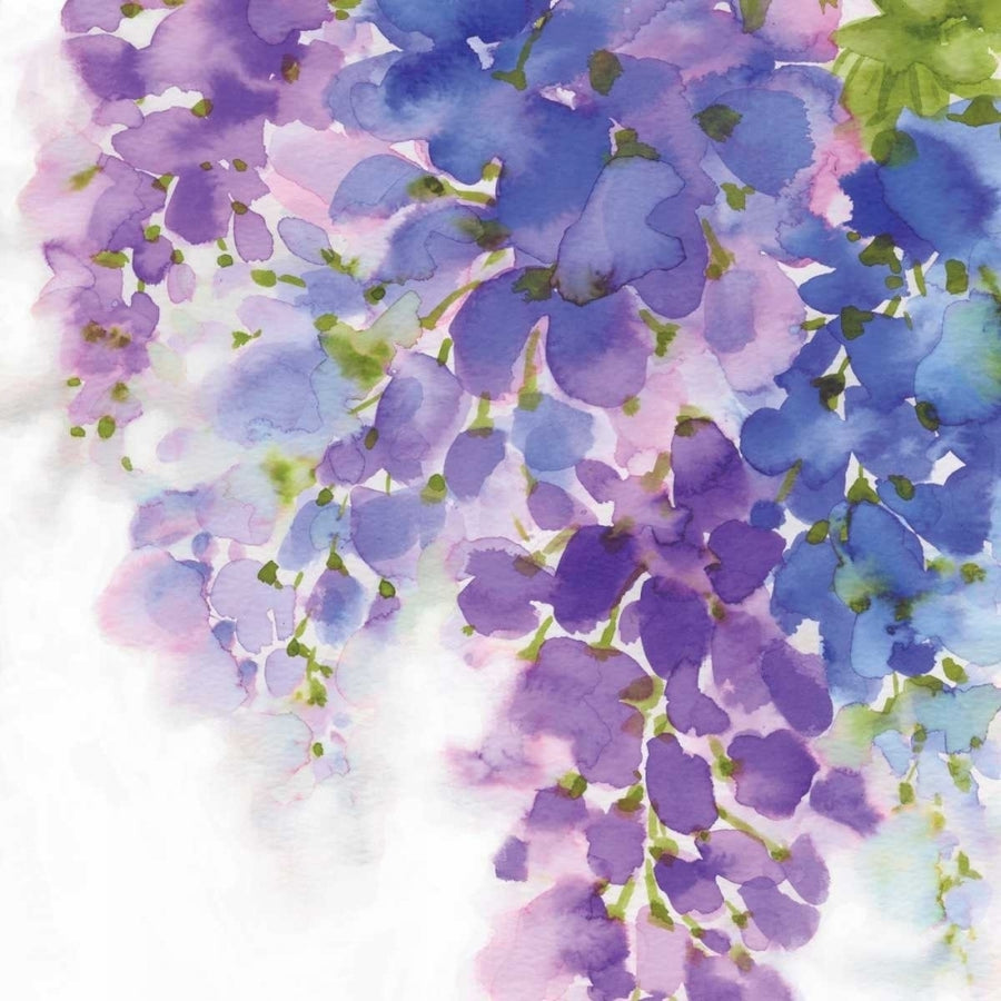 Wisteria I Poster Print by Eva Watts Image 1