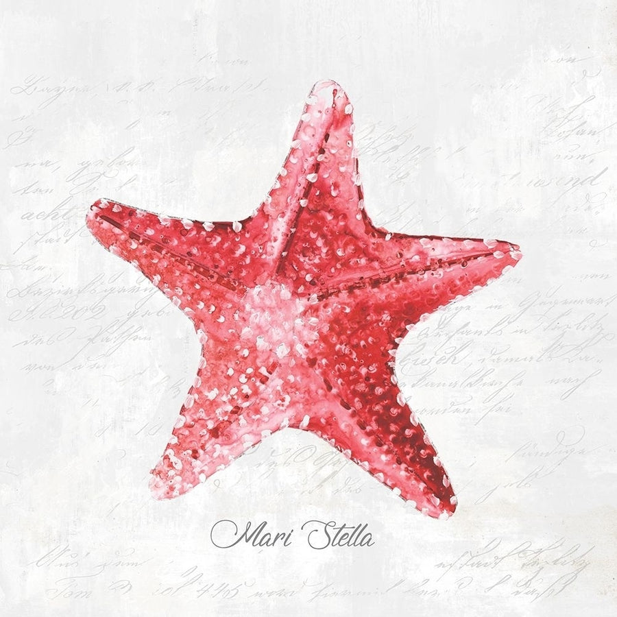 Red Starfish Poster Print by Eva Watts Image 1