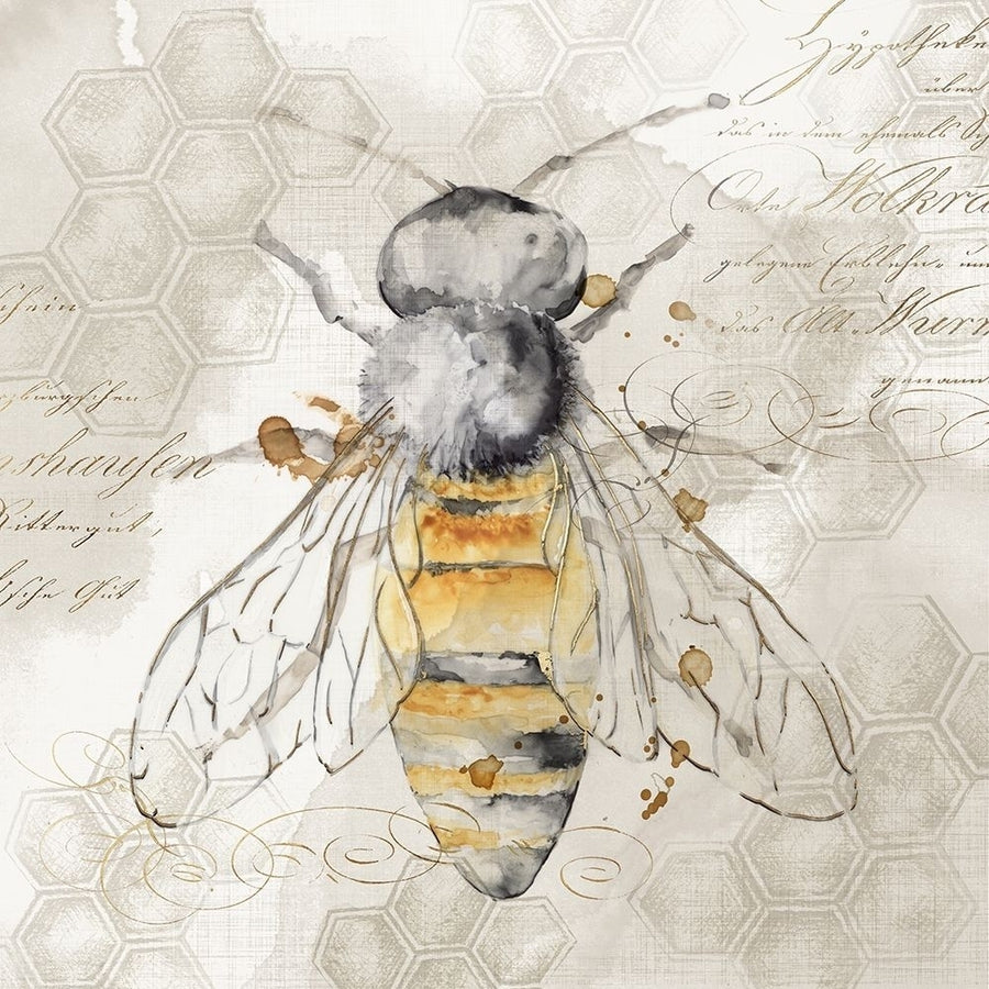 Queen Bee II Poster Print by Eva Watts Image 1