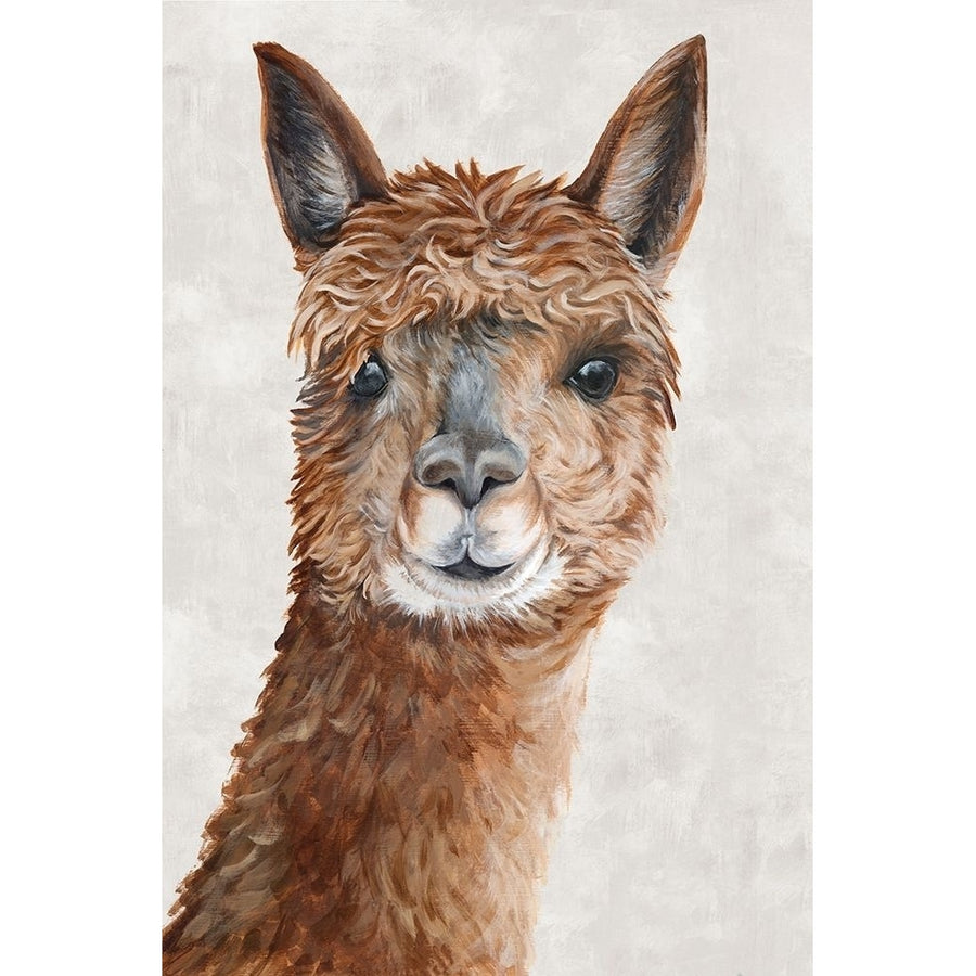 Suri Alpaca II Poster Print by Eva Watts Image 1