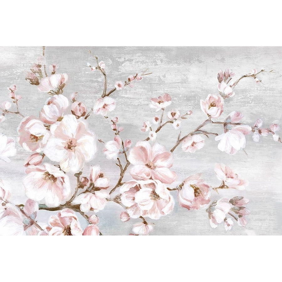 Spring Cherry Blossoms I Poster Print by Eva Watts Image 1