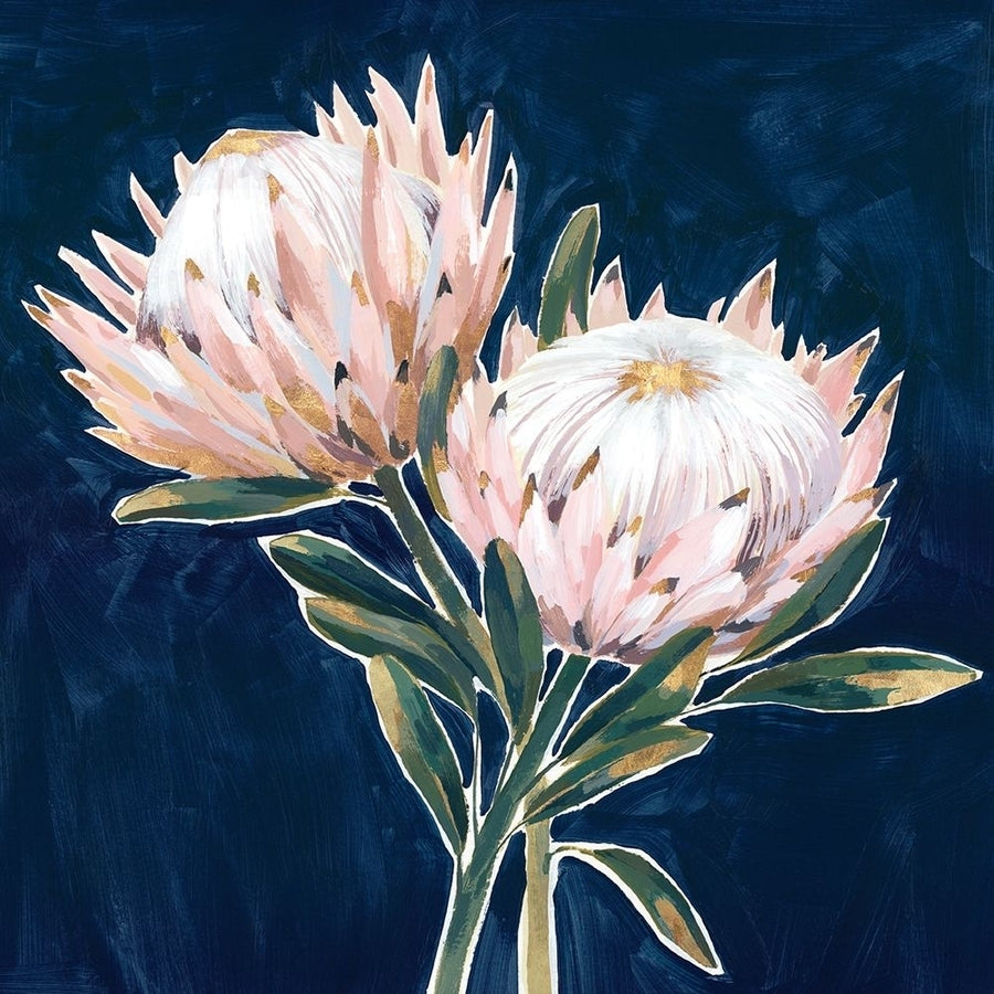 King Proteas Poster Print by Isabelle Z Isabelle Z Image 1