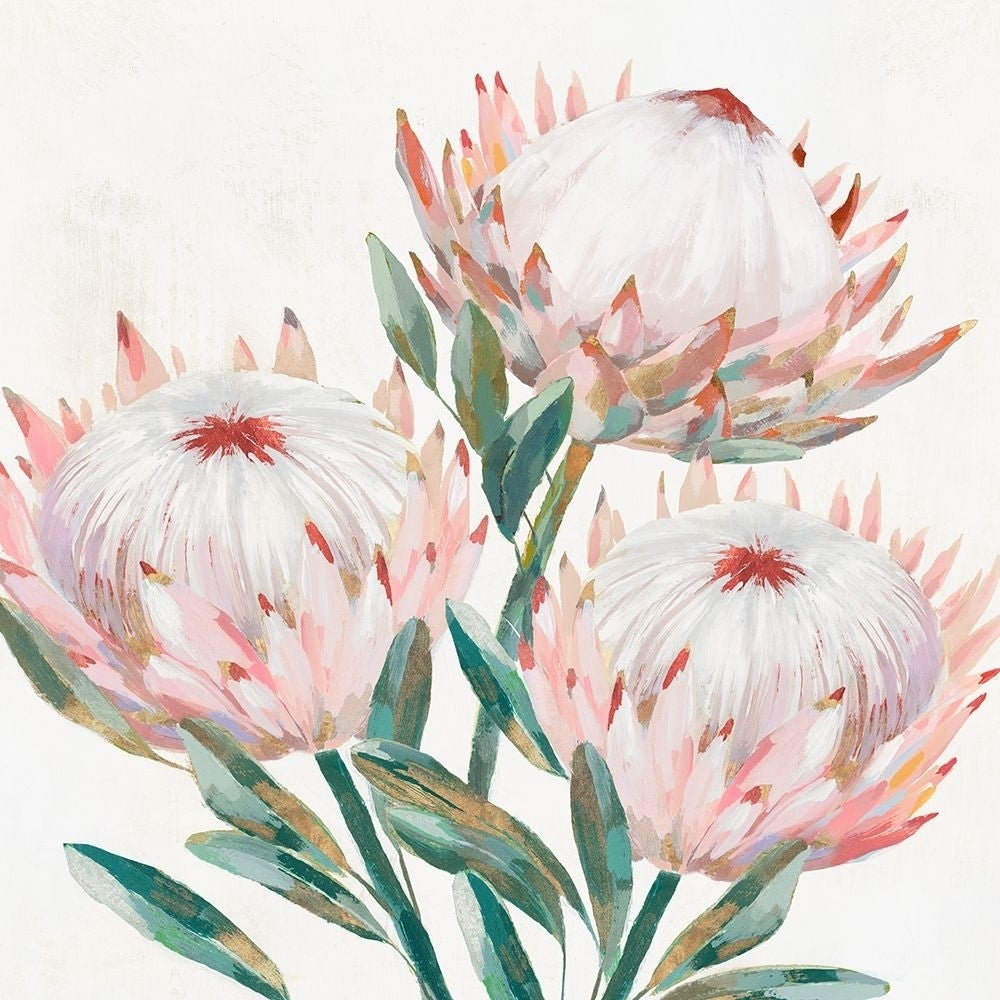 King Protea II Poster Print by Isabelle Z Isabelle Z Image 1