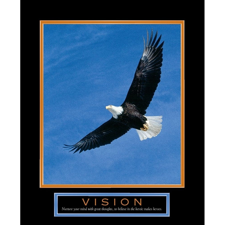 Vision Eagle in Flight Poster Print by Unknown Unknown F101329 Image 1