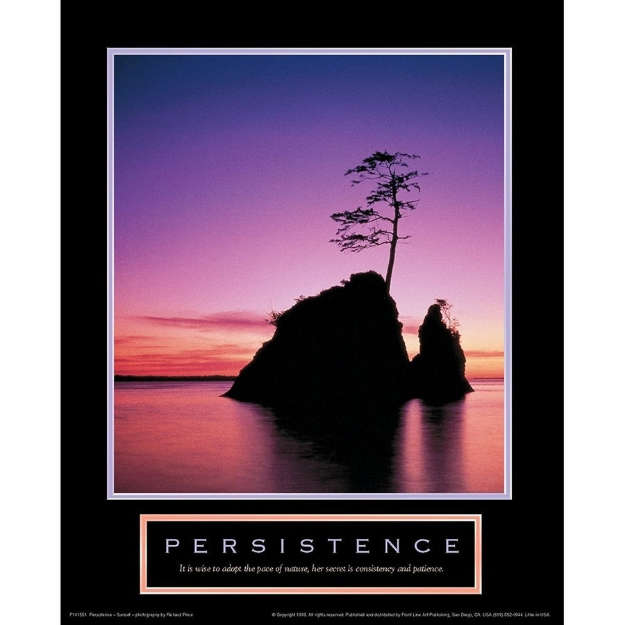 Persistence - Lonely Island Poster Print by Unknown Unknown F101551 Image 1