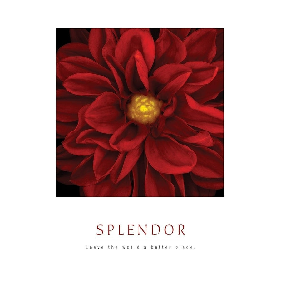 Splendor - Red Pool Poster Print by Unknown Unknown Image 1