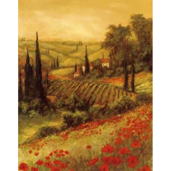 Toscano Valley II Poster Print by Art Fronckowiak Image 1