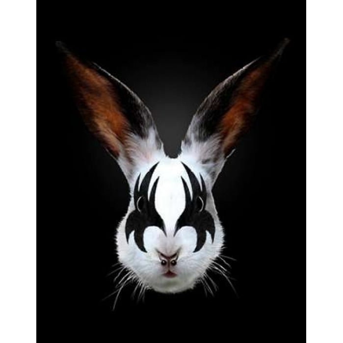 Rabbit Rocks Poster Print by Robert Farkas Image 1