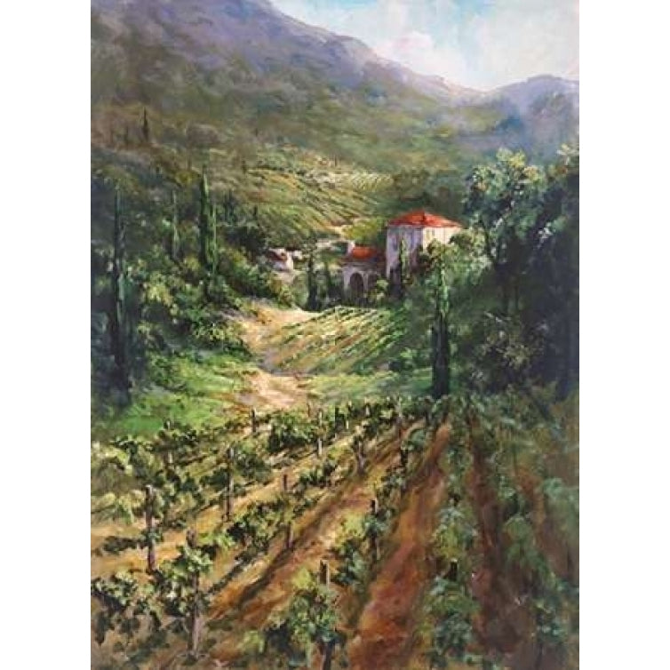 Tuscany Vineyard Poster Print by Art Fronckowiak Image 2