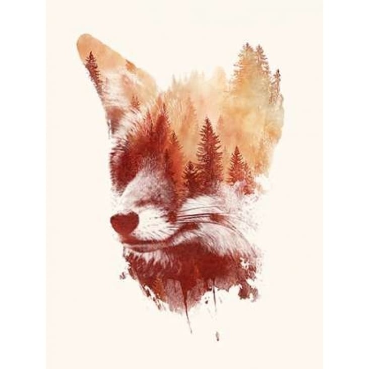 Blind Fox Poster Print by Robert Farkas Image 2