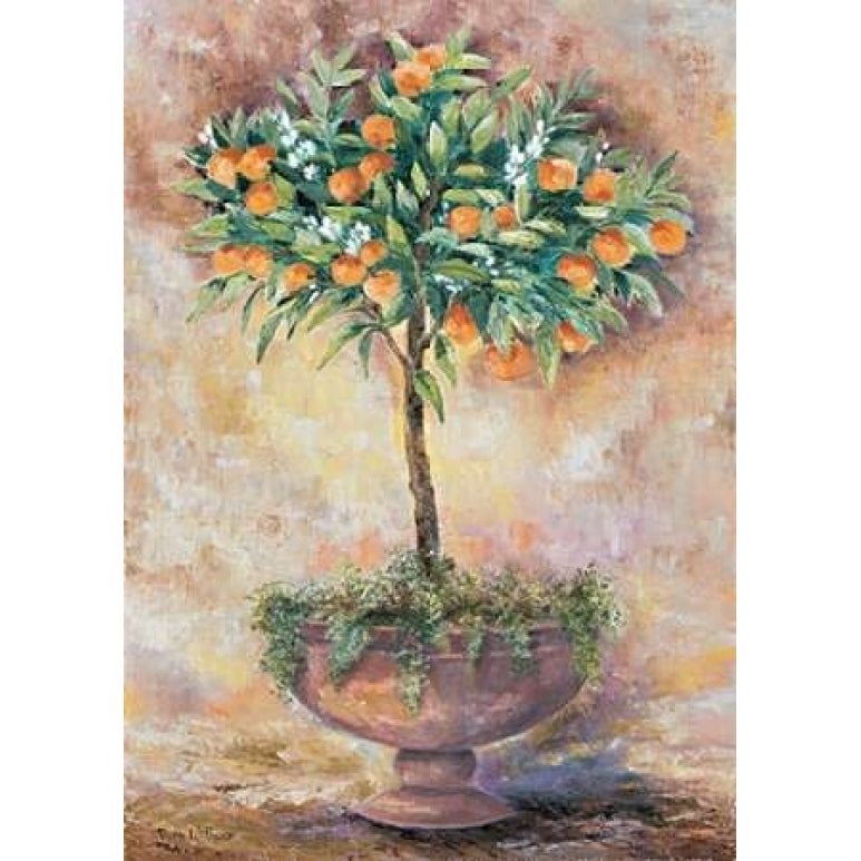 Orange tree Poster Print by Rian Withaar Image 2