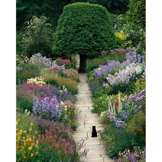 The Garden Cat Poster Print by Greg Gawlowski Image 2