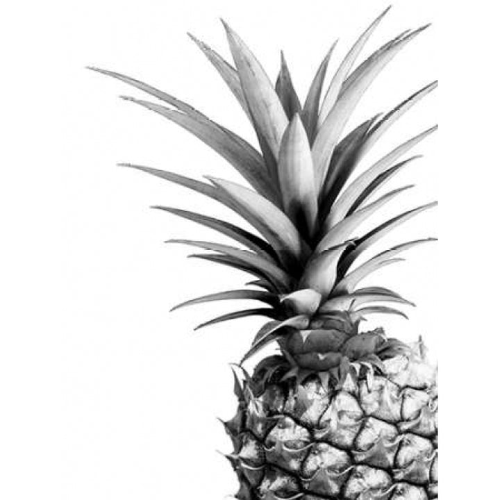 Pineapple - BW Poster Print by Lexie Greer Image 1