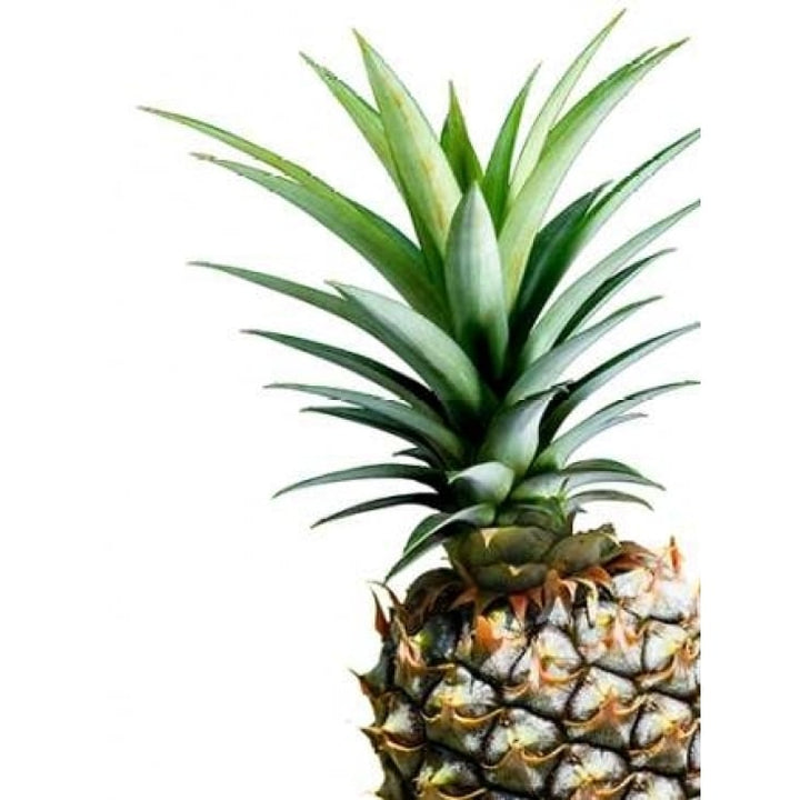 Pineapple - color Poster Print by Lexie Greer Image 1