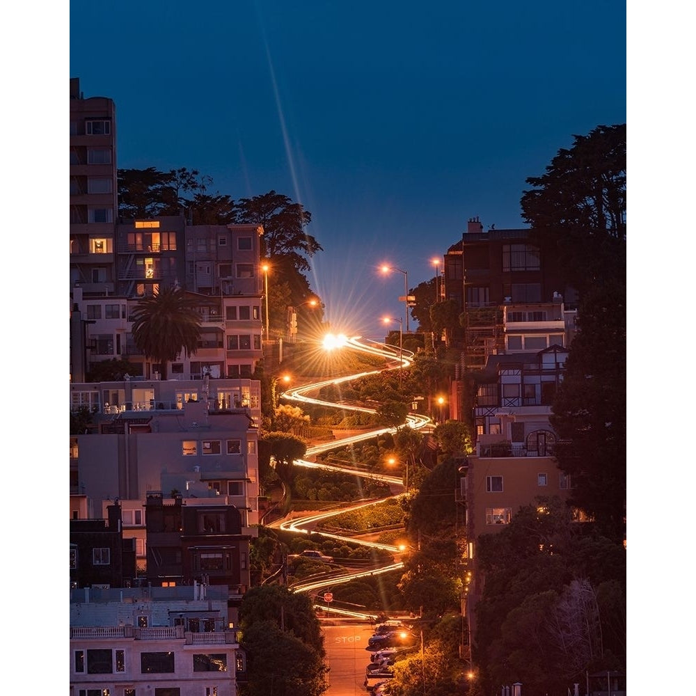 Lombard Street Poster Print by Bruce Getty Image 1