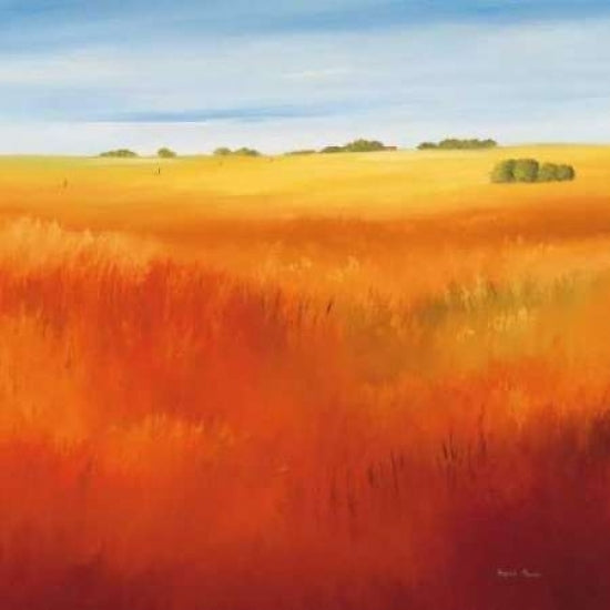 Red field I Poster Print by Hans Paus Image 2