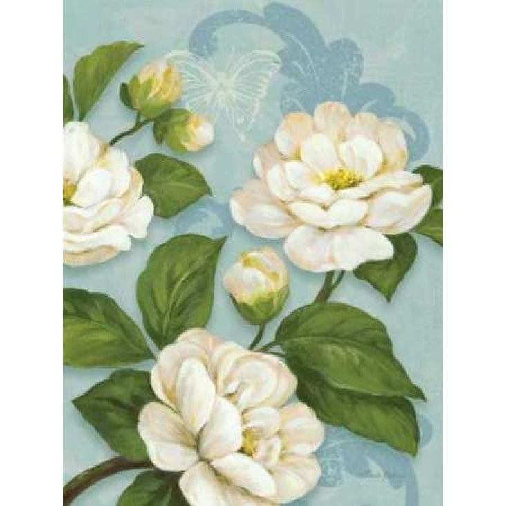 Camellias Poster Print by Pamela Gladding Image 1