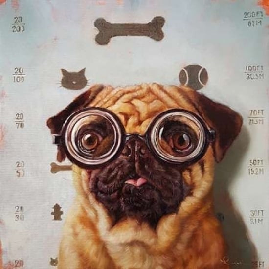 Canine Eye Exam Poster Print by Lucia Heffernan Image 1