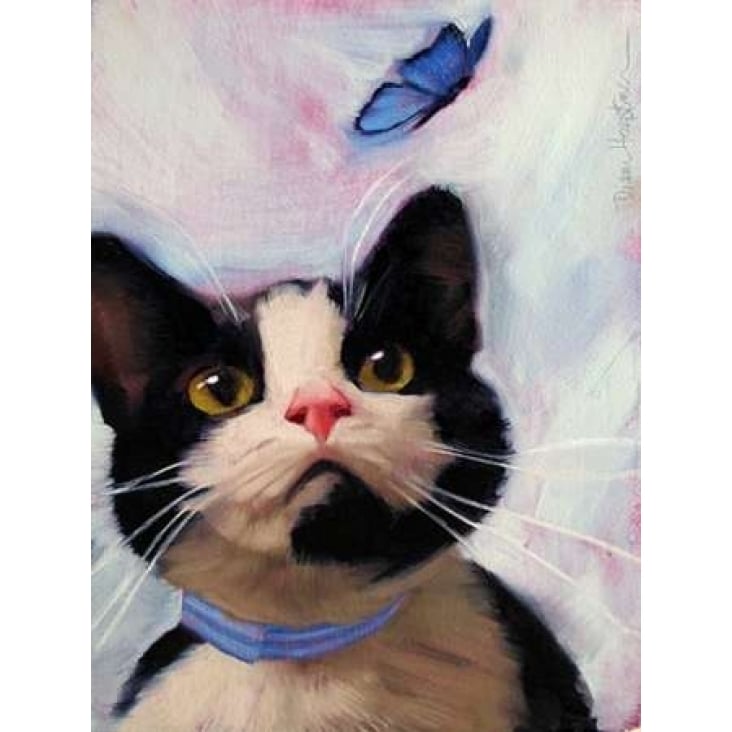 Cat and Butterfly Poster Print by Diane Hoeptner Image 2