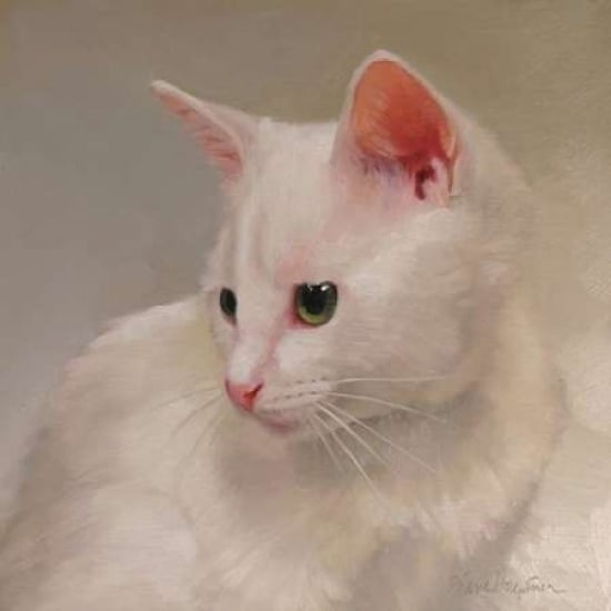 White Kitten Poster Print by Diane Hoeptner Image 2