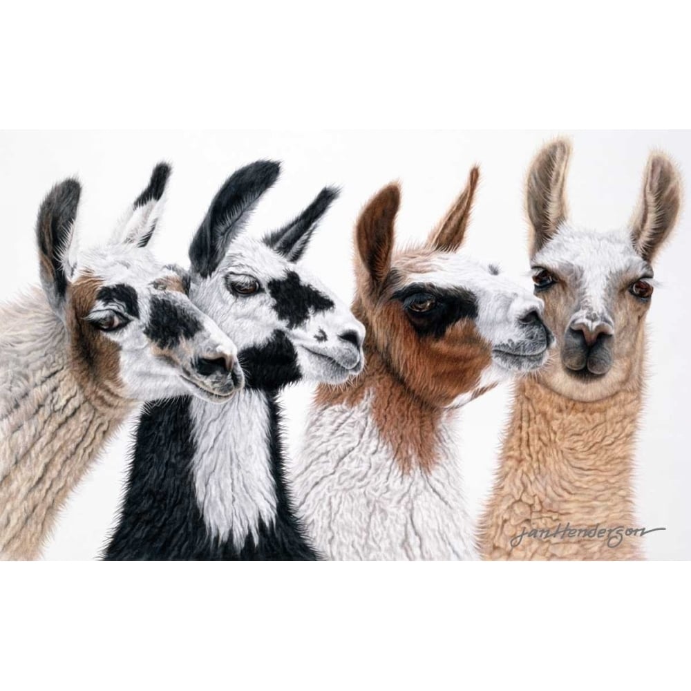 Peruvian Visitors Poster Print by Jan Henderson Image 1