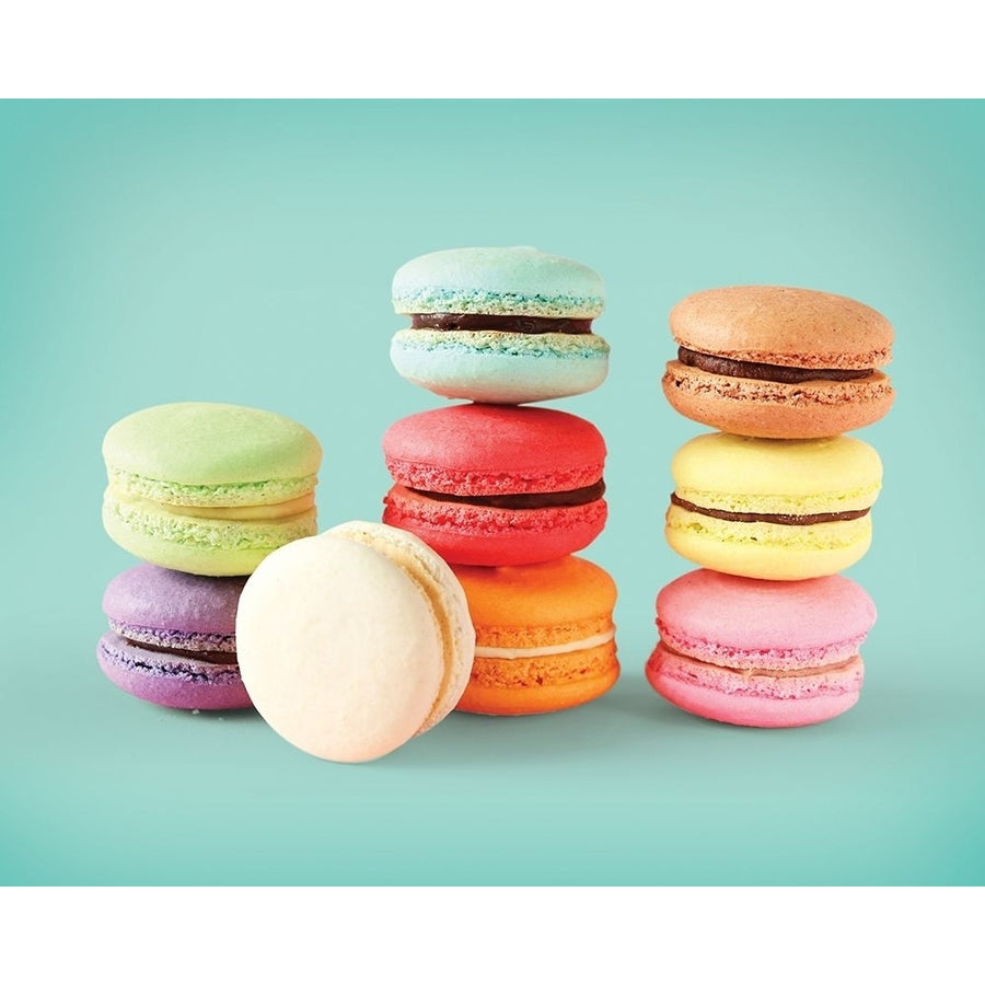 Macarons 4 Poster Print by Braun Studio Braun Studio H3258 Image 1