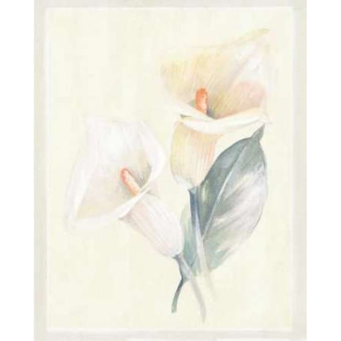 Calla Lily IV Poster Print by Paul Hargittai Image 1