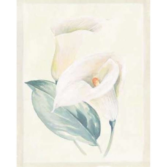 Calla Lily I Poster Print by Paul Hargittai Image 1